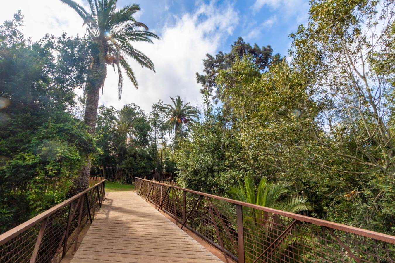 tenerife-parques-jardines-de-hamilton_tacoronte-canarias